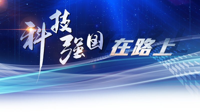 企业数字化平台搭建：流程步骤解析